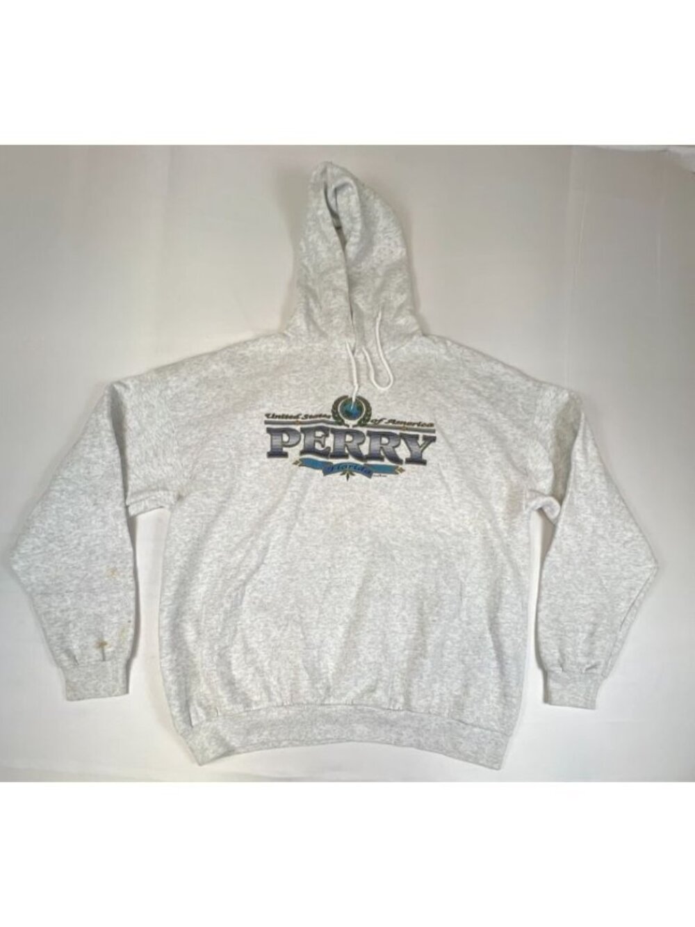 Vintage 1996 United States of America Perry Florida Graphic Hoodie 2XL